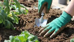 So retten Sie ausgelaugten Boden im Garten: Bewährte Methoden zur Regeneration