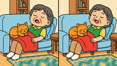 Aufmerksamkeitstest: Versuchen Sie, in 23 Sekunden alle Unterschiede im Bild zu finden