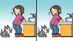 Rätsel: Finden Sie innerhalb von 19 Sekunden drei Unterschiede zwischen den Bildern der Frau mit der Katze.