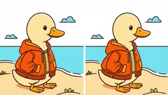 Rätsel: Finden Sie 3 Unterschiede auf dem Bild mit einer Ente in einer Jacke in 36 Sekunden